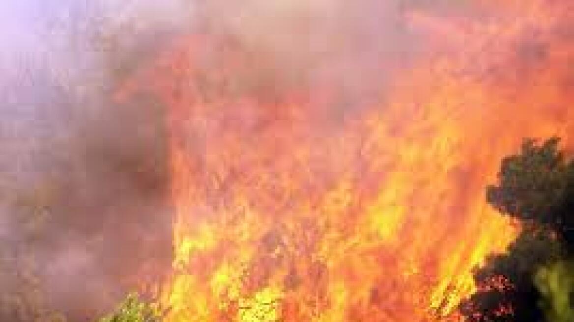 Συλλήψεις για τις πυρκαγιές στον Ωρωπό και στη Χίο